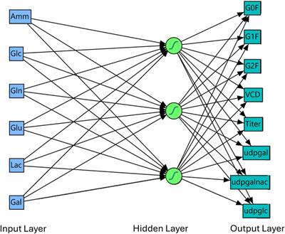 Soft-sensor model development for CHO growth/production, intracellular metabolite, and glycan predictions